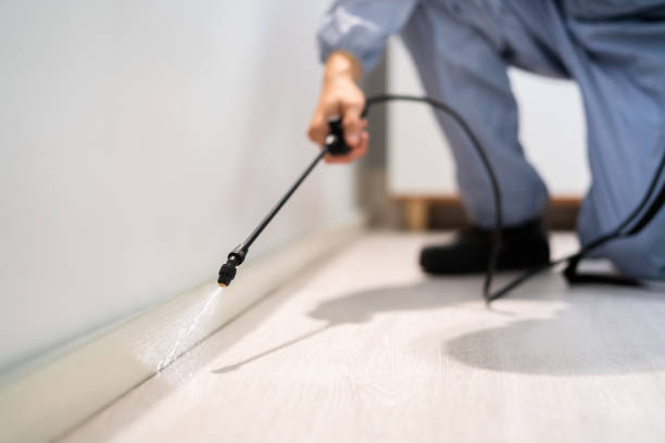 Professional exterminator conducting IPM assessment in Clarkston