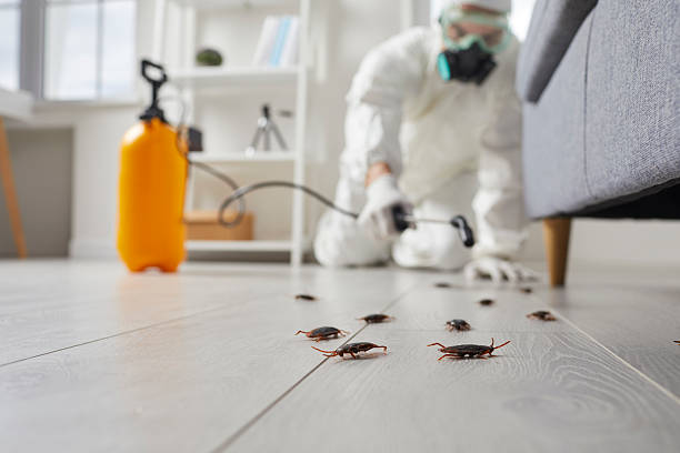 Commercial Rodent Management in Clarkston