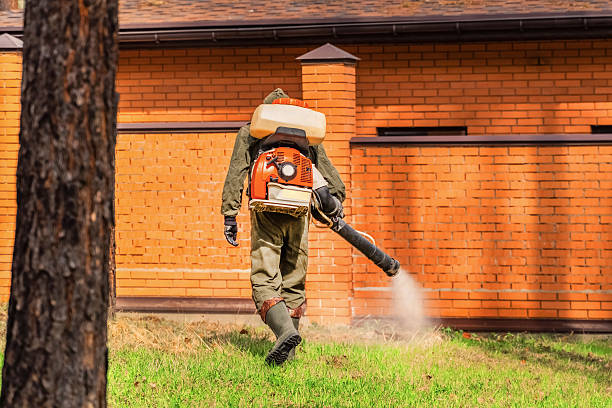 Rodent Follow-Up Monitoring in Clarkston